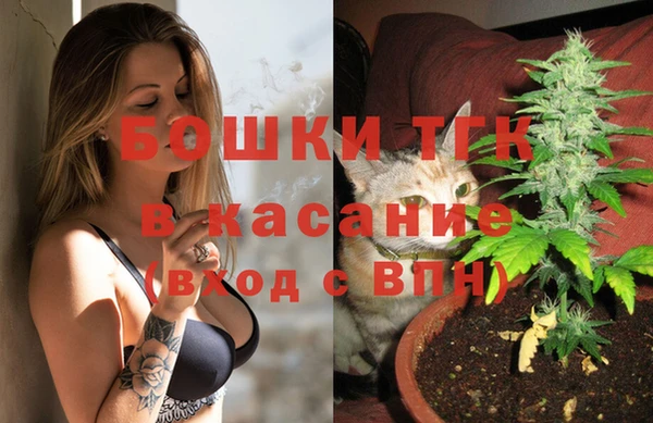 дживик Магас