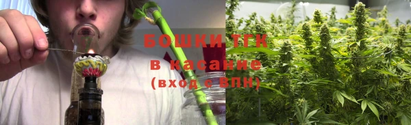 дживик Магас