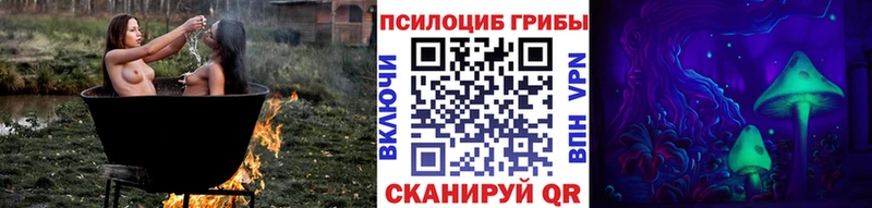 наркошоп  Чистополь  Псилоцибиновые грибы прущие грибы 