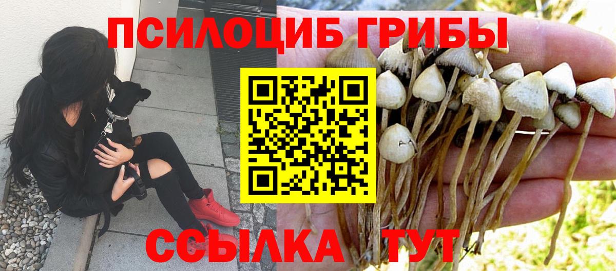 Гашиш  Чистополь  Вход с VPN  МАРИХУАНА  МЕФ кристаллы  ЭКСТАЗИ  МЕФ  APVP СК  